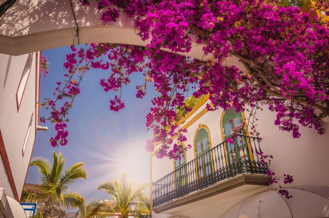 20 Metres From The Sea In Puerto De Mogan Appartement Buitenkant foto